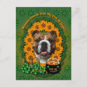 Cartão Postal St Patricks - Pote do Dourado - Bulldog