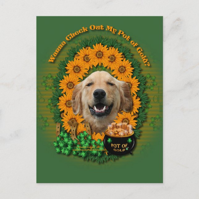 Cartão Postal St Patricks - Pote do Ouro Dourado Retriever Micke (Frente)