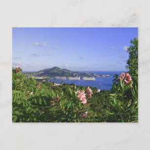 Cartão Postal St. Thomas, US Virgin Islands. Charlotte