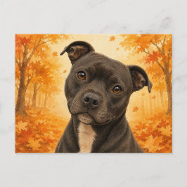 Cartão Postal Staffordshire Bull Terrier Autumn Dog
