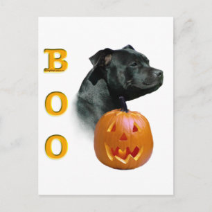 Cartão Postal Staffordshire Bull Terrier Boo