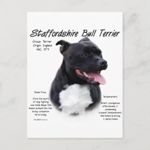 Cartão Postal Staffordshire Bull Terrier History Design