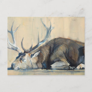 Cartão Postal Stag 2014