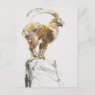 Cartão Postal Stambecco d'Oro 2005