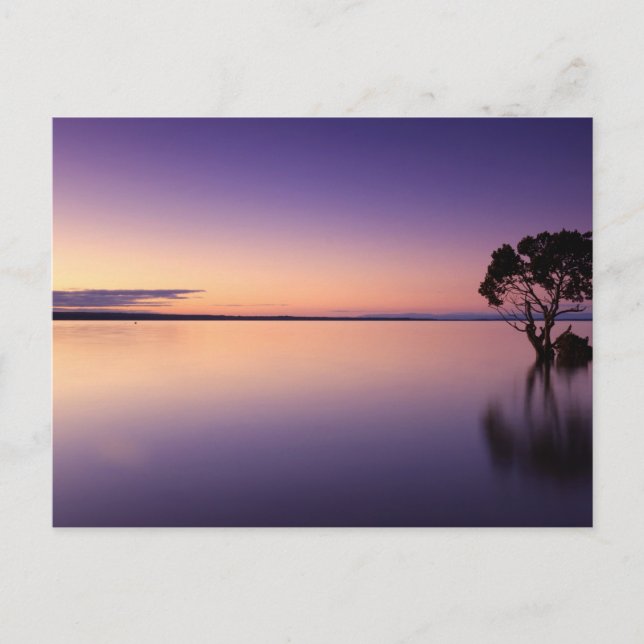 Cartão Postal Standard Postcard (Frente)