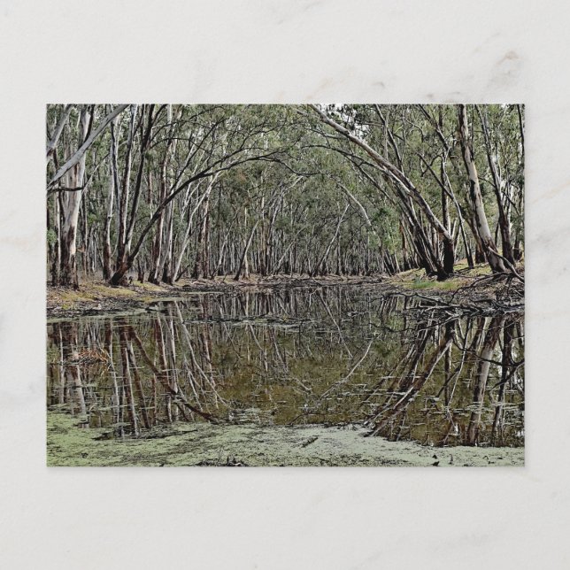 Cartão Postal Standard postcard (Frente)