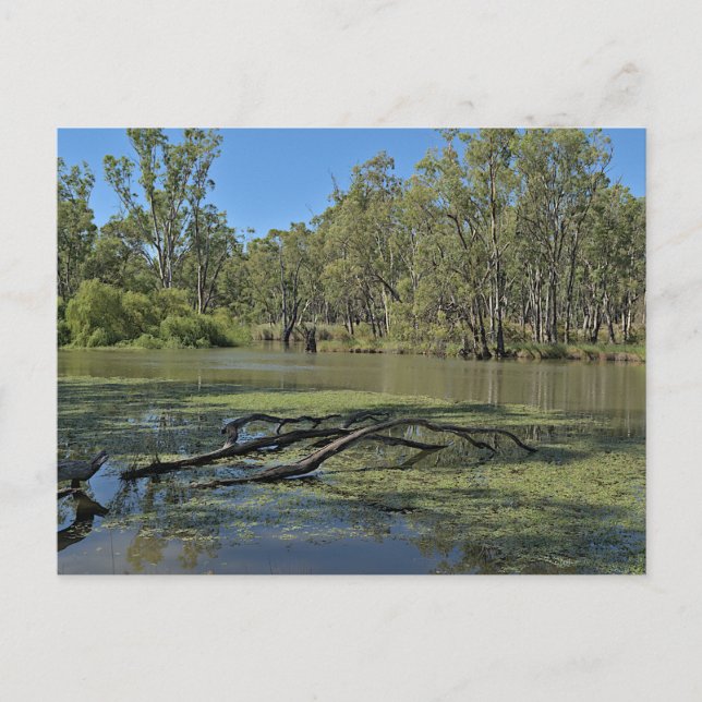 Cartão Postal Standard postcard (Frente)