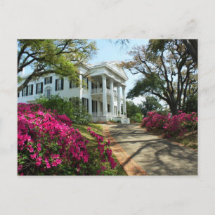 Cartão Postal Stanton Hall - Primavera em Natchez, Mississippi