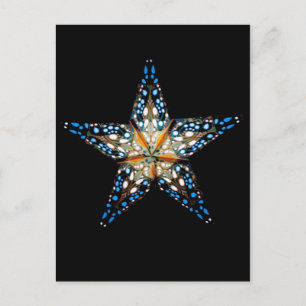 Cartão Postal Star LIght #2