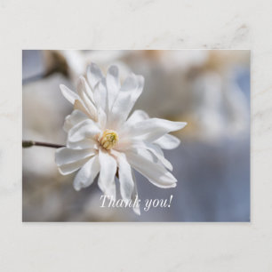 Cartão Postal Star Magnolia Bloom Obrigado Cartão-Postal