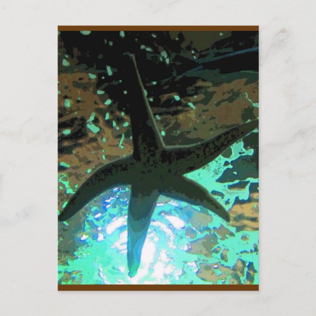 Cartão Postal Starfish CB (Frente)