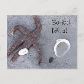 Cartão Postal Starfish e Shell Postcard da Ilha Sanibel