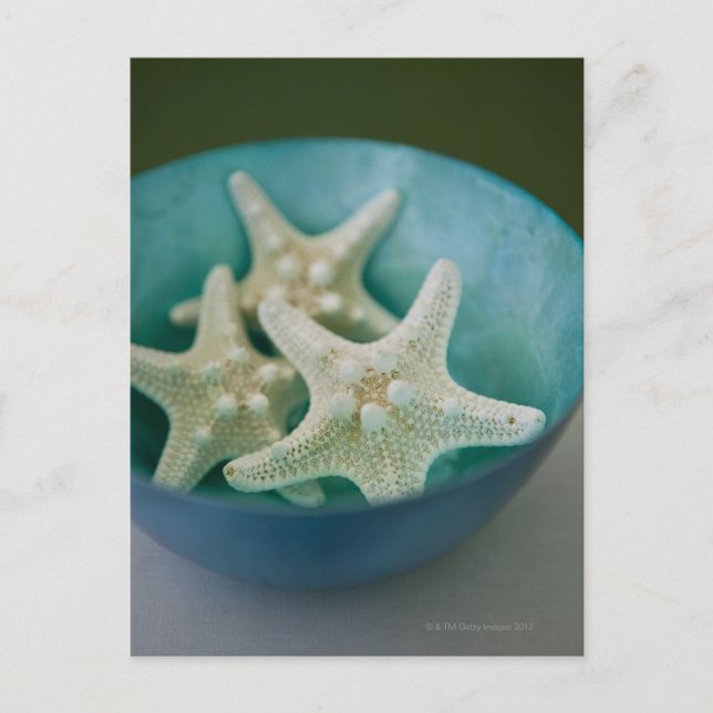 Cartão Postal Starfish na tigela (Frente)