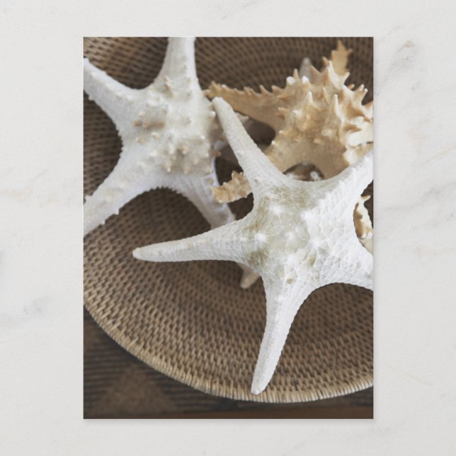 Cartão Postal Starfish numa cesta (Frente)