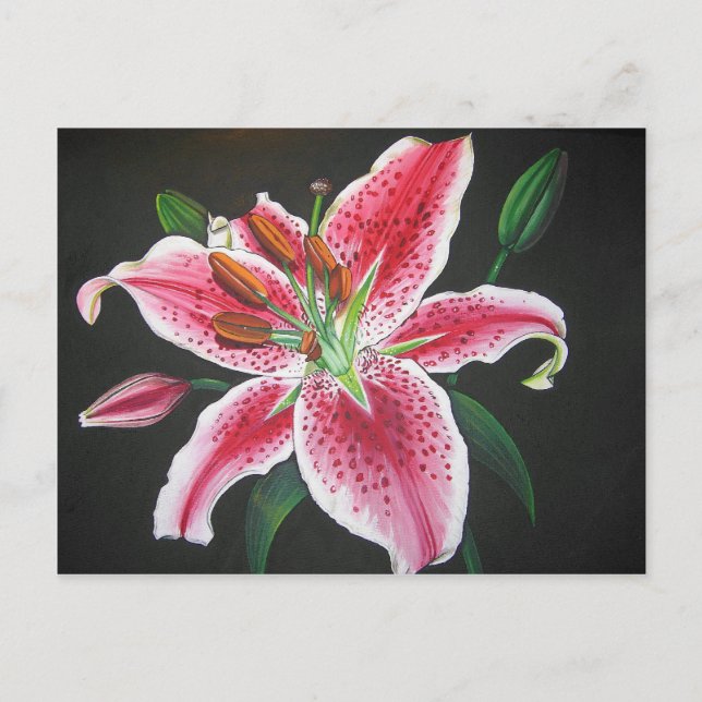 Cartão Postal Stargazer Lily (Frente)
