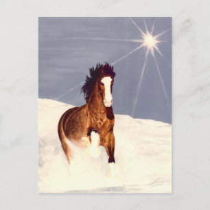 Cartão Postal Starlight Run