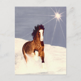 Cartão Postal Starlight Run