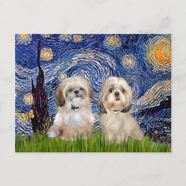 Cartão Postal Starry Night - 2 Sihih Tzus (P+Y) (Frente)