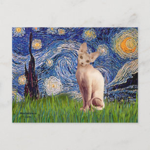Cartão Postal Starry Night - Cream Sphynx Cat