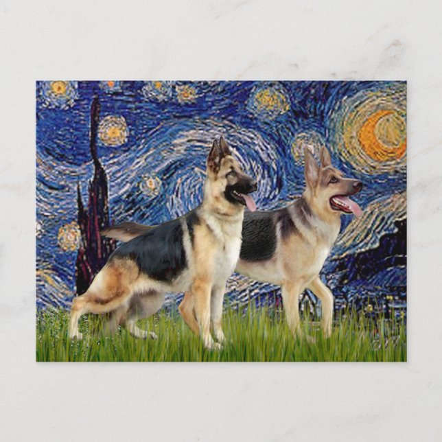 Cartão Postal Starry Night - Dois German shepherd (Frente)