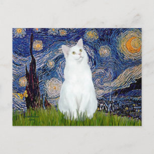 Cartão Postal Starry Night - Gato branco