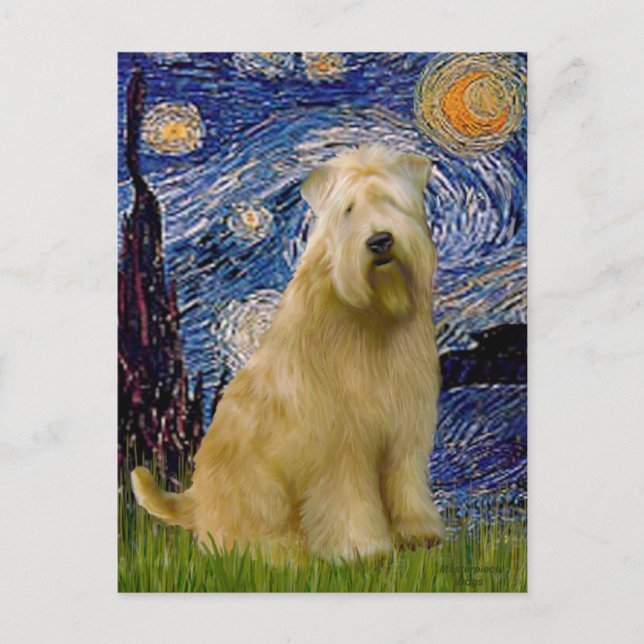 Cartão Postal Starry Night (V) - Wheaten Terrier (Frente)