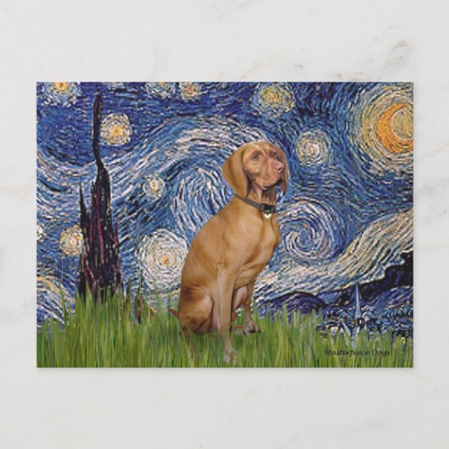 Cartão Postal Starry Night - Vizsla 2 (Frente)