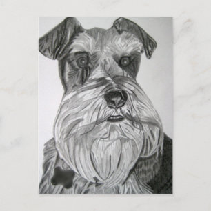 Cartão Postal State Schnauzer