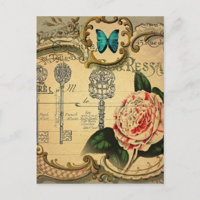 Cartão Postal steampunk chame camellia de flores rosa-rosa moder (Frente)