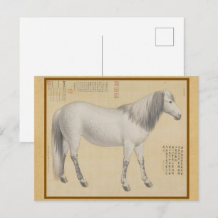 Cartão Postal Steed - "As-You-Wish" Bela Arte Chinesa