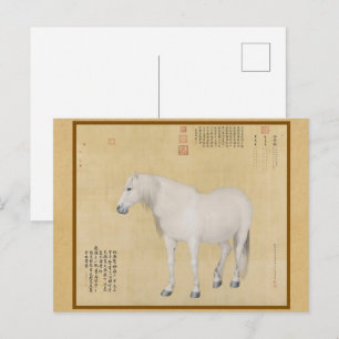 Cartão Postal Steed - Um Cavalo Chamado Benxiaocong Chinês De Be