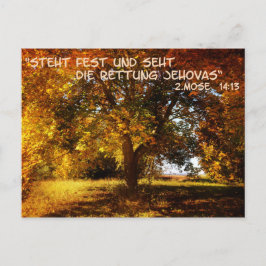 Cartão Postal Steht fest und seht die Rettung
