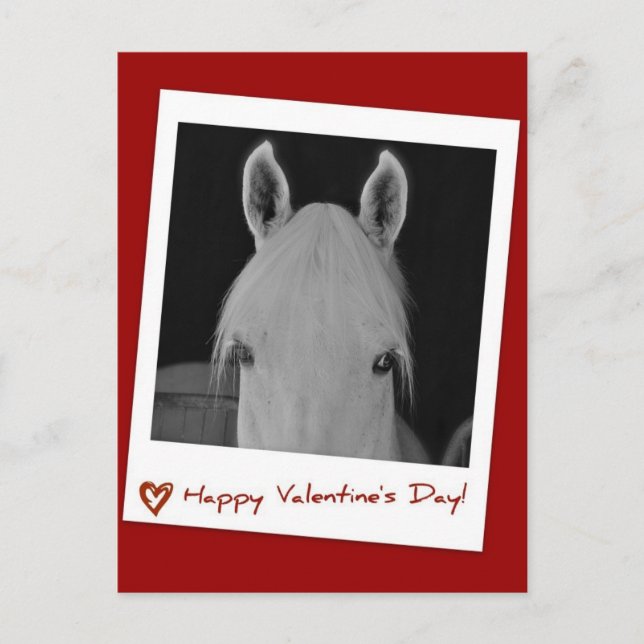 Cartão Postal Stella (Frente)