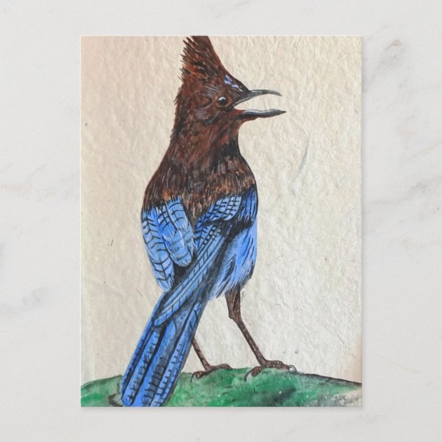 Cartão Postal "Stellar" (Frente)