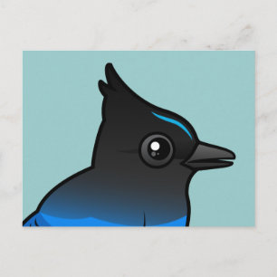 Cartão Postal Steller's Jay