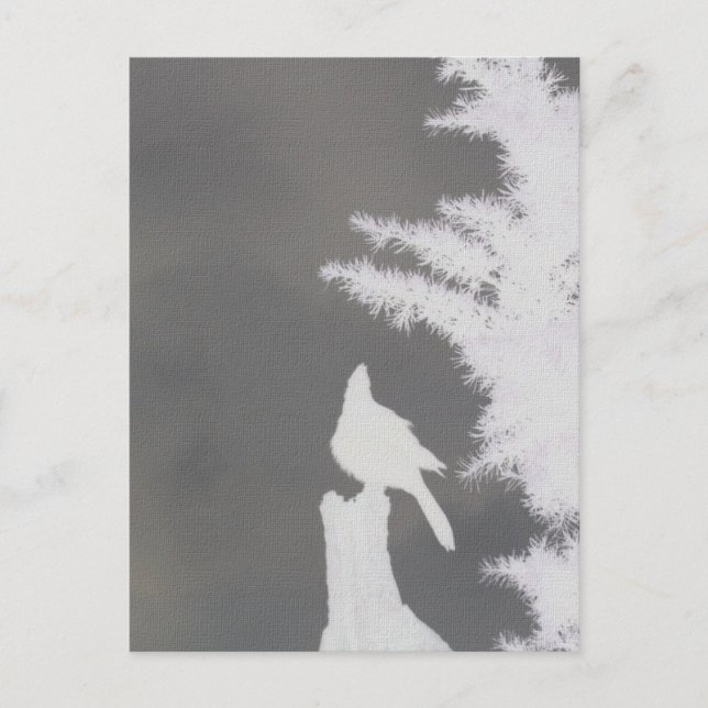 Cartão Postal Steller's Jay Silhouette (Frente)