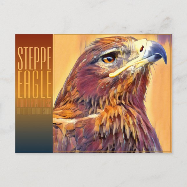 Cartão Postal Steppe Eagle [Cartão Postal] (Frente)