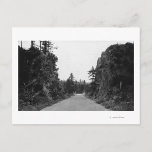 Cartão Postal Stevenson Pass, WA View North Bank Highway