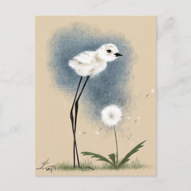 Cartão Postal Stilted Snowy Plover (Frente)
