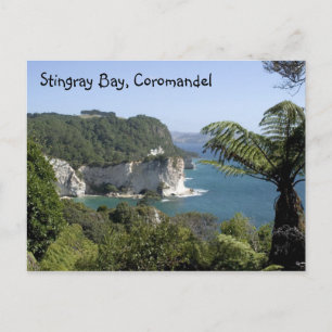 Cartão Postal Stingray Bay, Coromandel