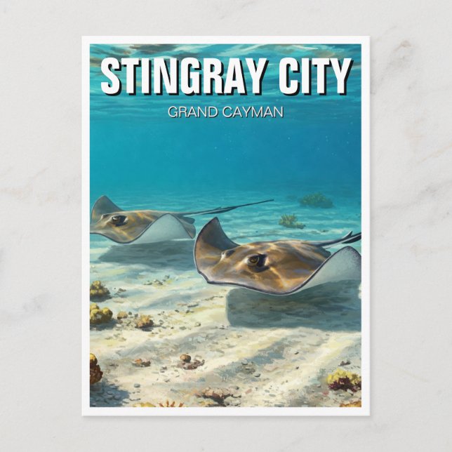Cartão Postal Stingrays na Viagem Grand Cayman (Frente)