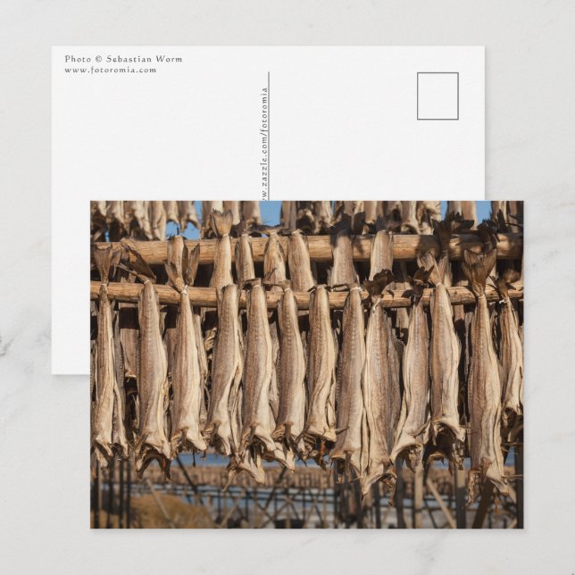Cartão Postal Stockfish Lofoten (Frente/Verso)
