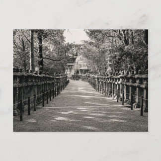 Cartão Postal Stone Lantern Path at a Japanese Shrine – Black an