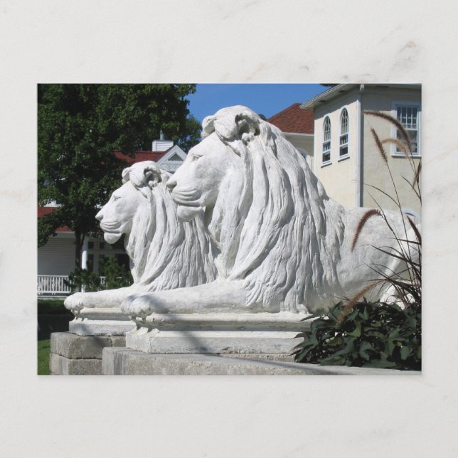 Cartão postal Stone Lions (Frente)