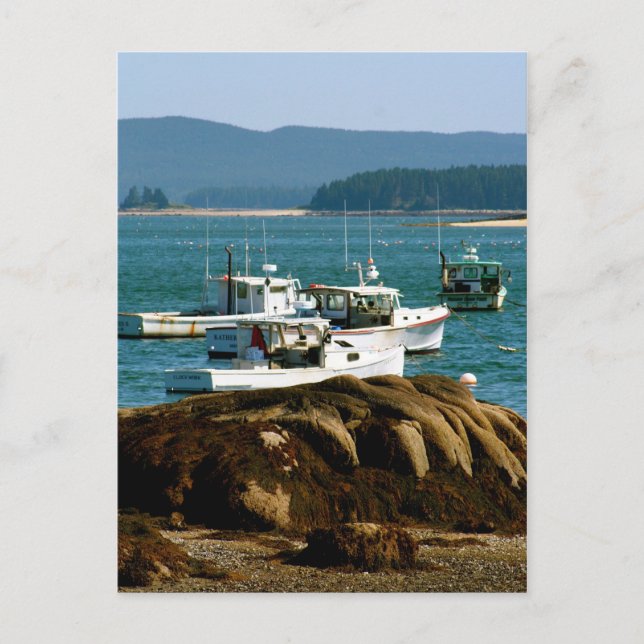 Cartão postal Stonington, Maine (Frente)