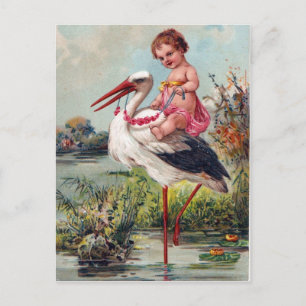 Cartão Postal Stork and Baby From 1909