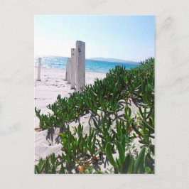 Cartão Postal Strand bei Alghero Sardinien - Postkarte