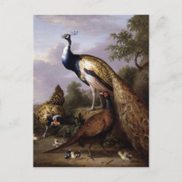 Cartão Postal STRANOVER, aves Tobias, animais de pavão, colheita