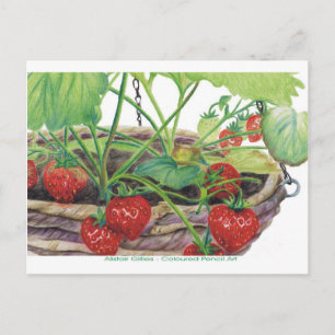 Cartão Postal Strawberry