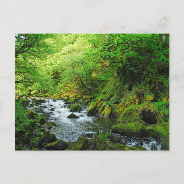 Cartão Postal Stream em Springtime (Frente)